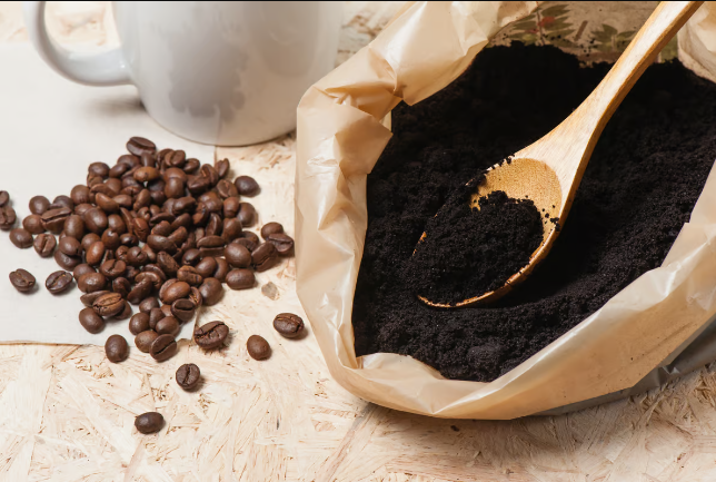 Coffee Grounds’ Secret Superpower: Safeguarding the Brain Against Neurodegenerative Diseases