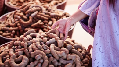 The Sweet Symphony of Tamarind: Exploring Its Delights Across Cultures
