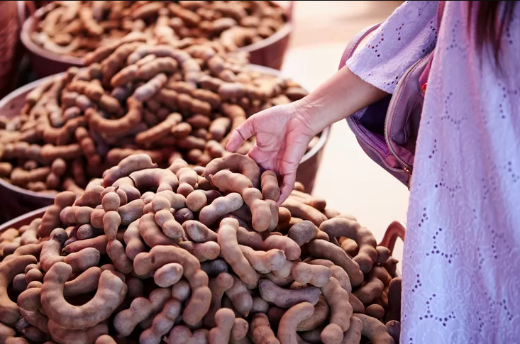 The Sweet Symphony of Tamarind: Exploring Its Delights Across Cultures