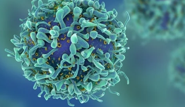 “Unlocking the Secrets of Immunity: How WNK1 Pathway Holds the Key to Supercharged T Cell Migration!