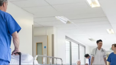 Harnessing Viruses: 6 Positive Applications in Healthcare and Pest Control